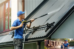 Roof Cleaning